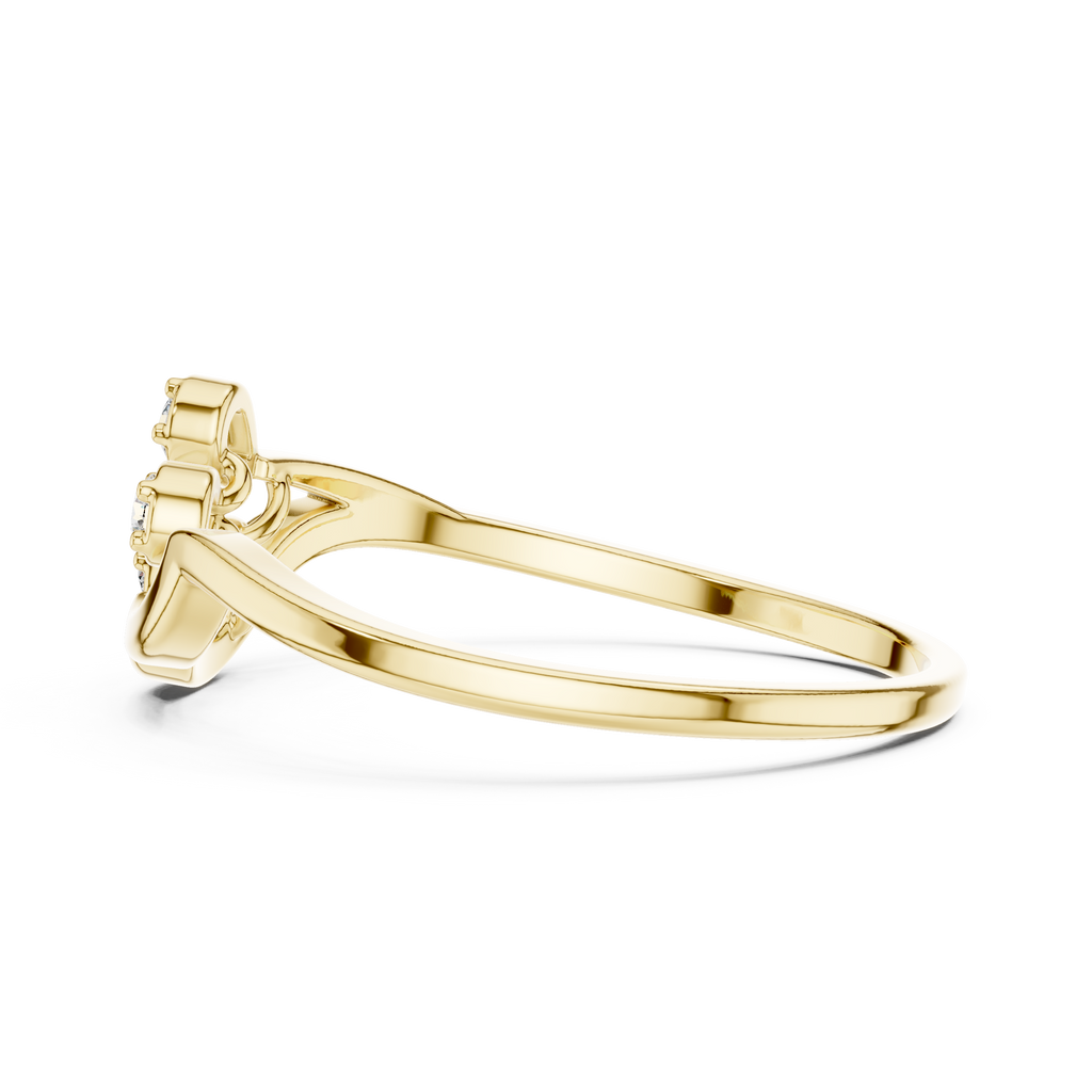 The Essential Ring