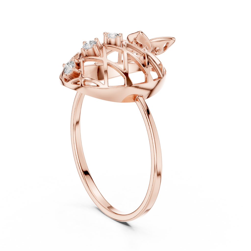 The Fancy Ring