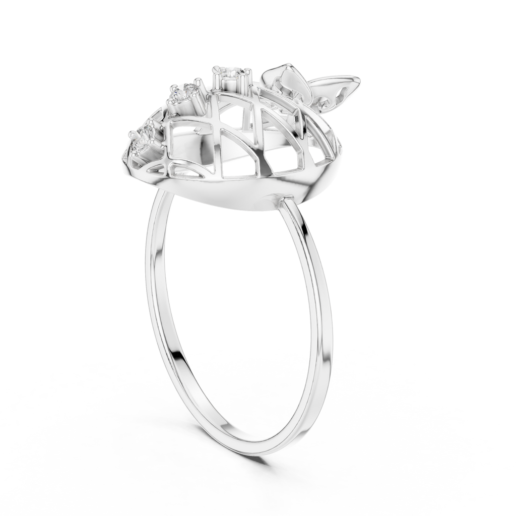 The Fancy Ring