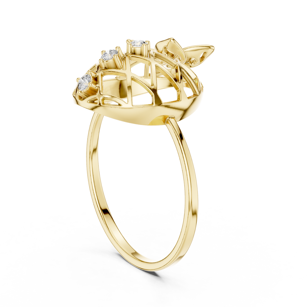 The Fancy Ring