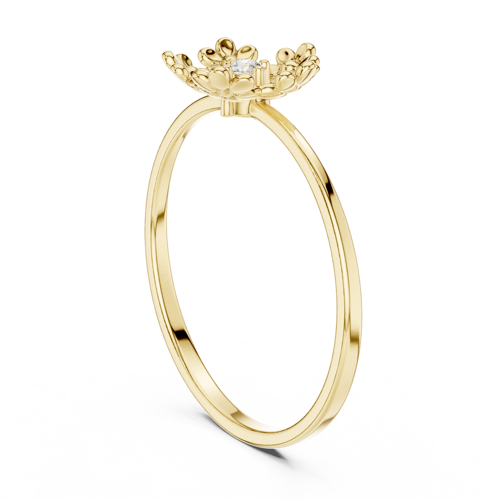 The Essential Ring