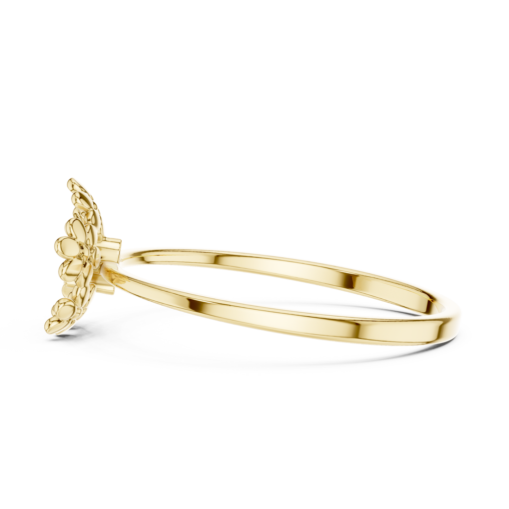 The Essential Ring