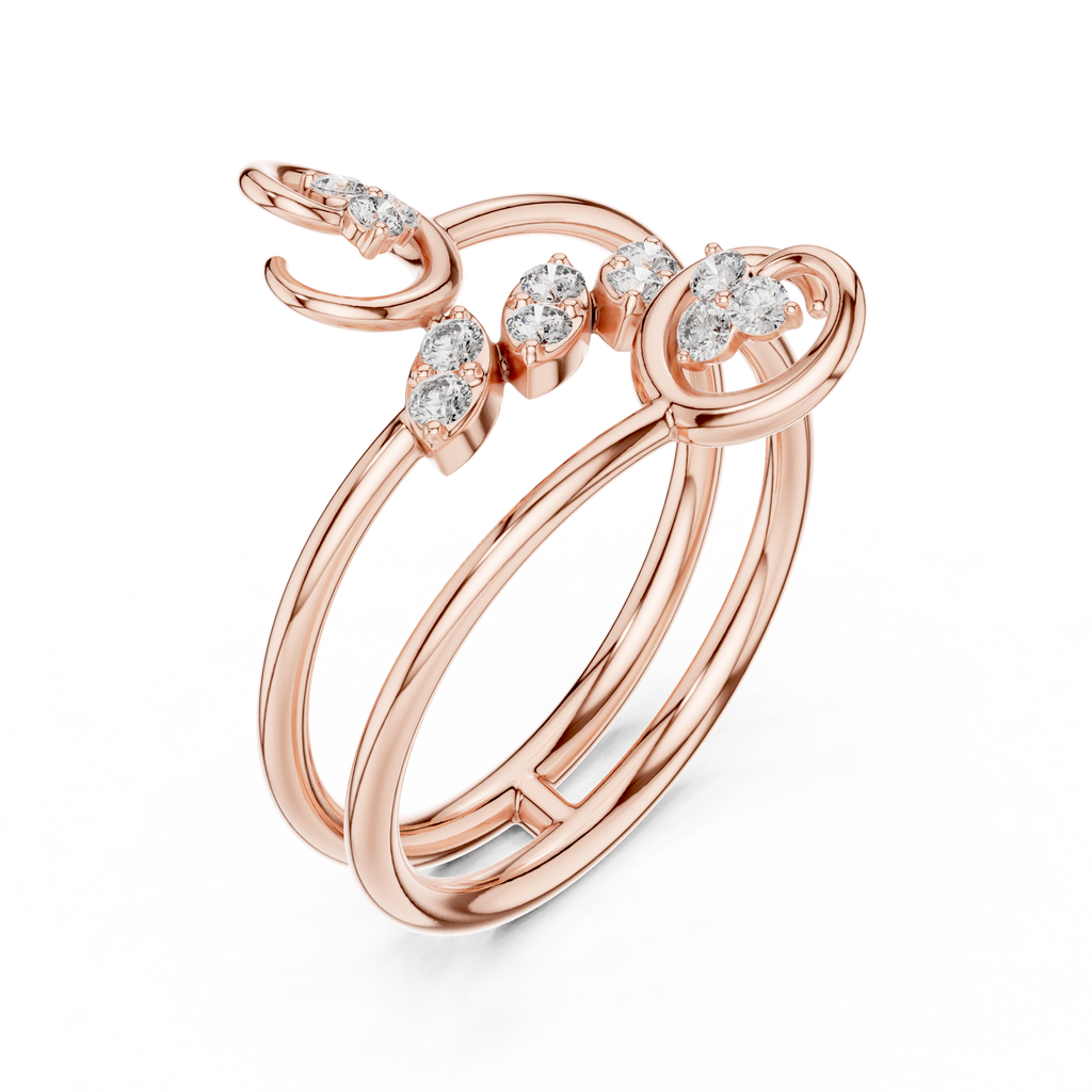 The Fancy Ring