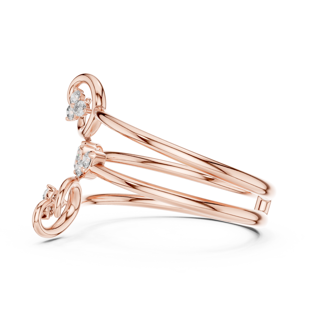 The Fancy Ring