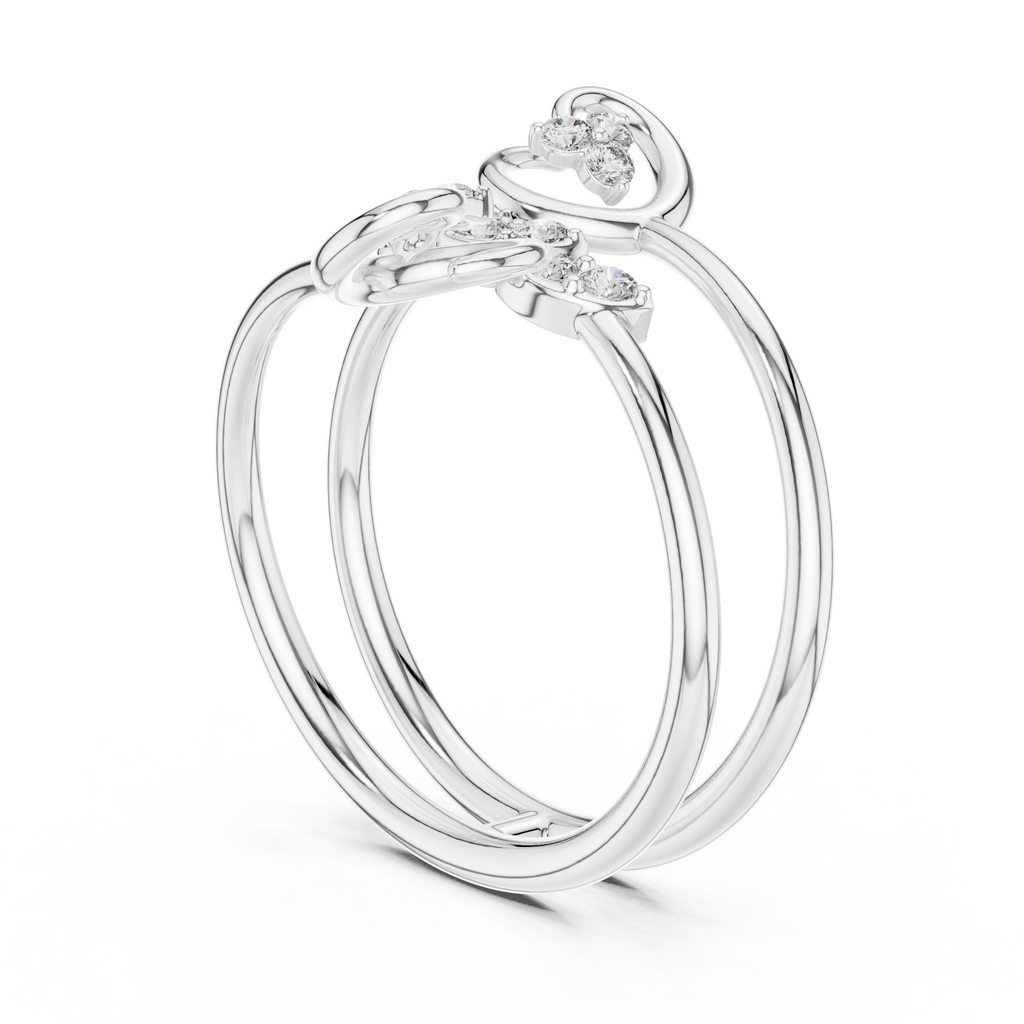 The Fancy Ring