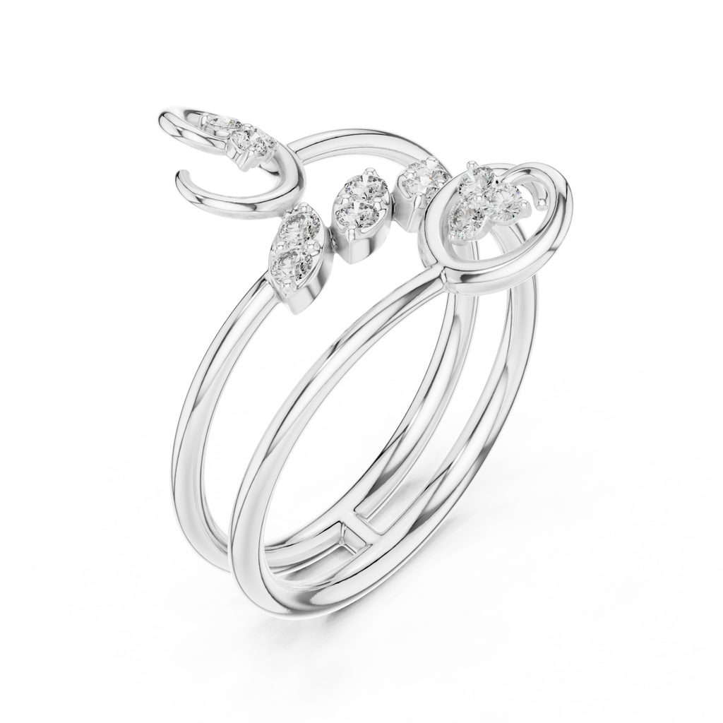 The Fancy Ring
