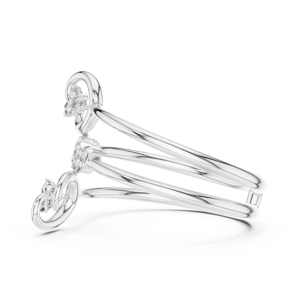 The Fancy Ring