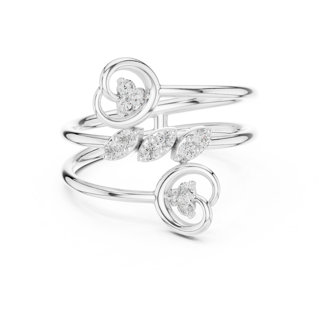 The Fancy Ring