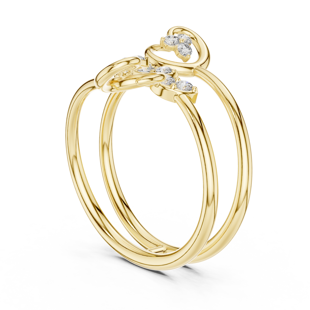 The Fancy Ring