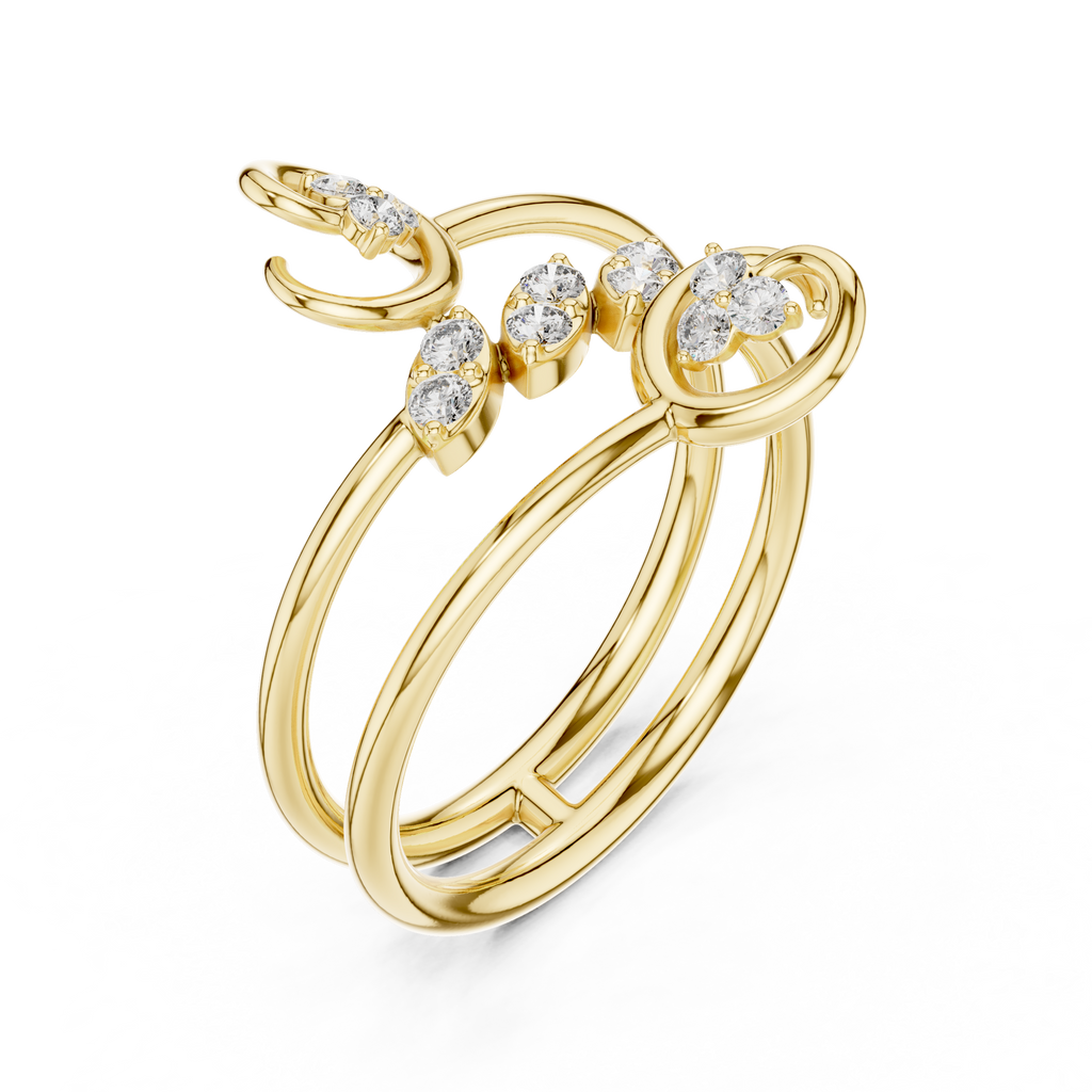 The Fancy Ring