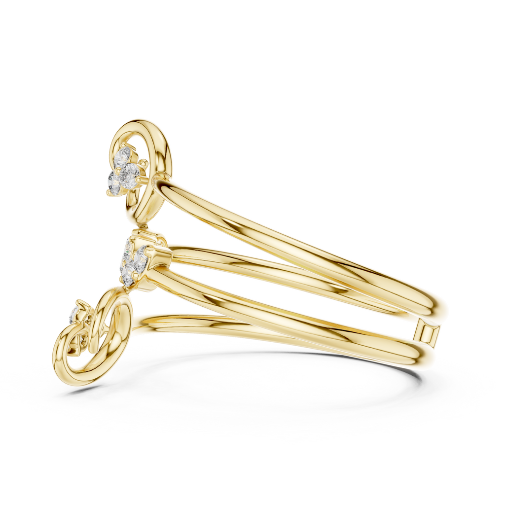 The Fancy Ring