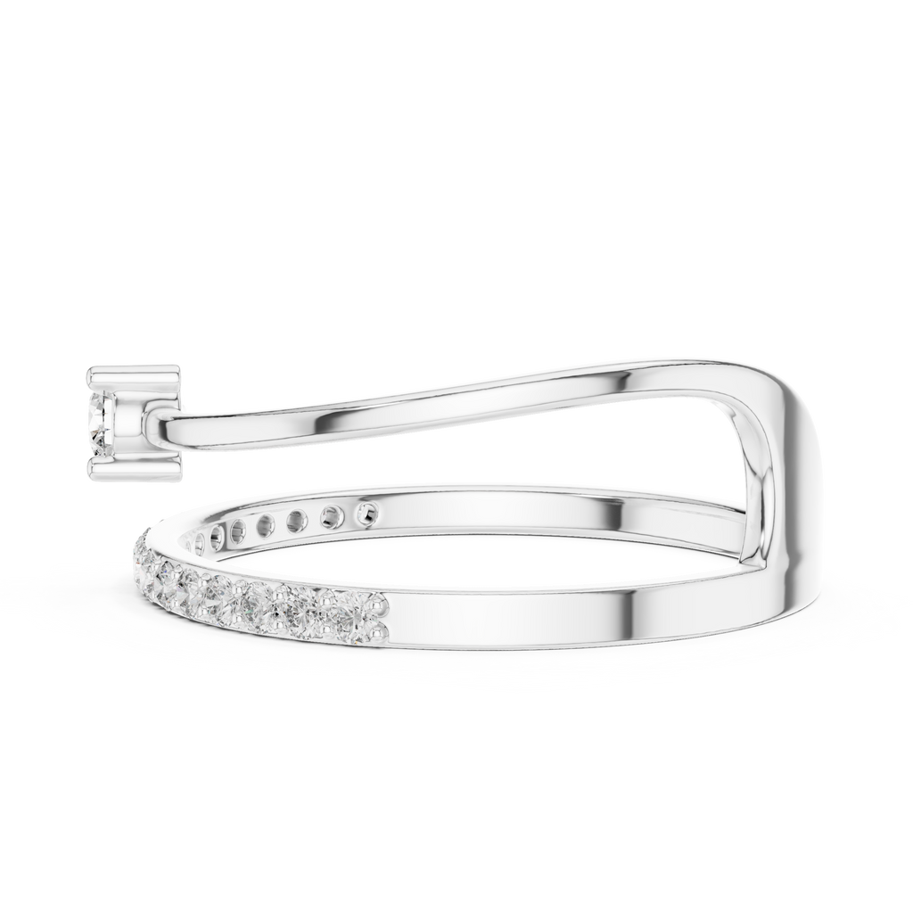 The Fancy Ring