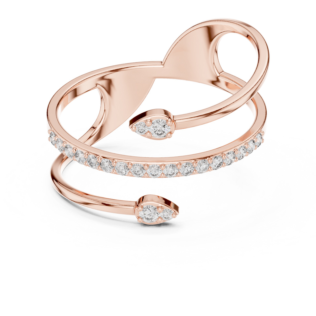The Fancy Ring