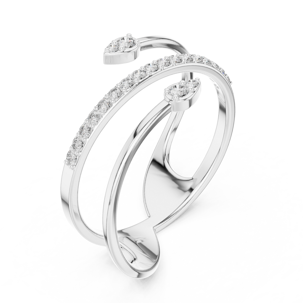 The Fancy Ring