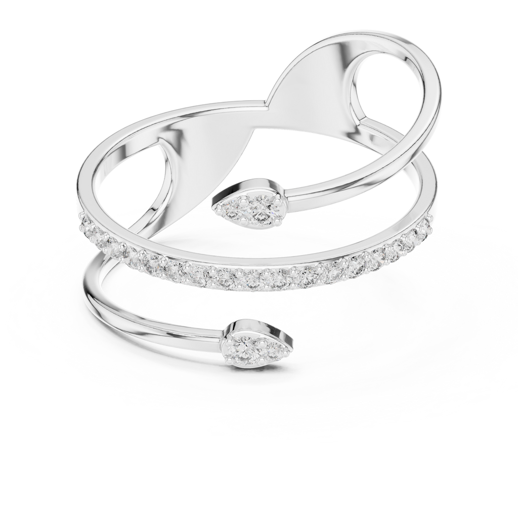 The Fancy Ring