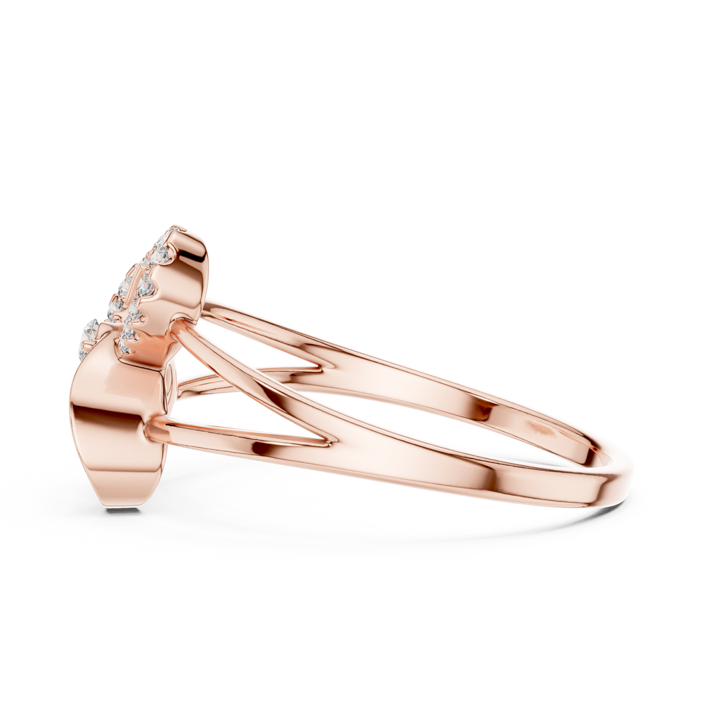 The Essential Ring