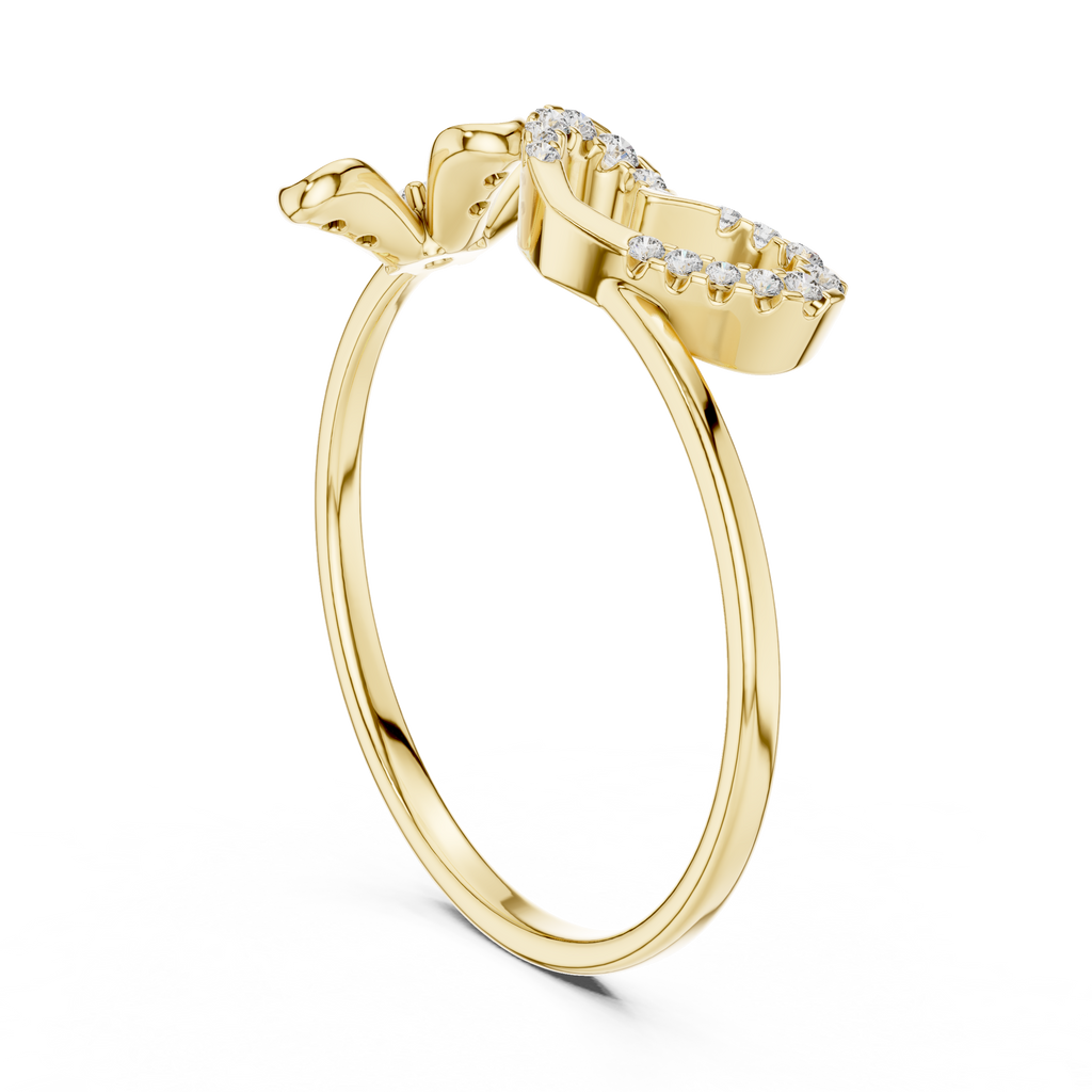 The Essential Ring