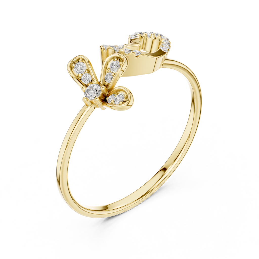 The Essential Ring