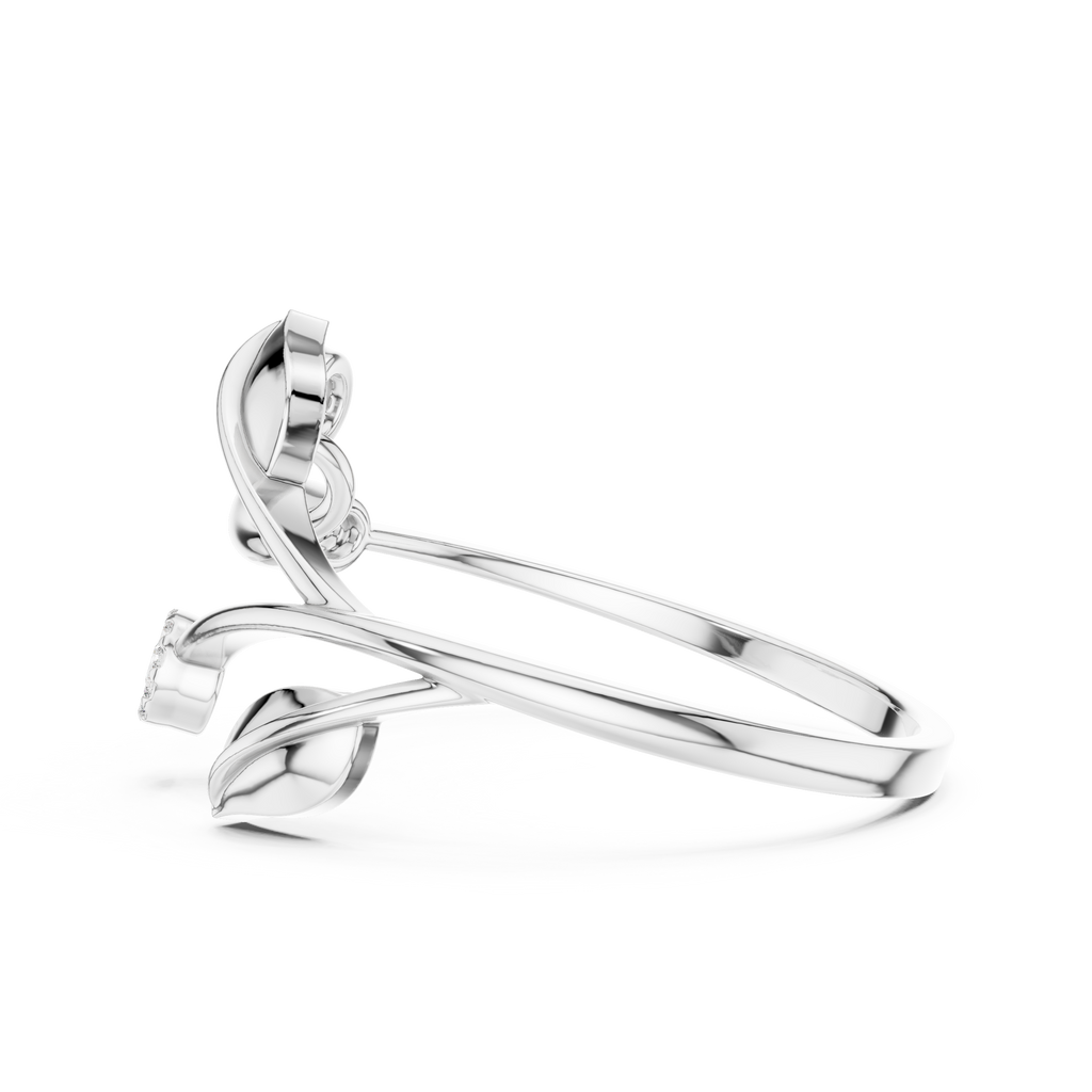The Essential Ring
