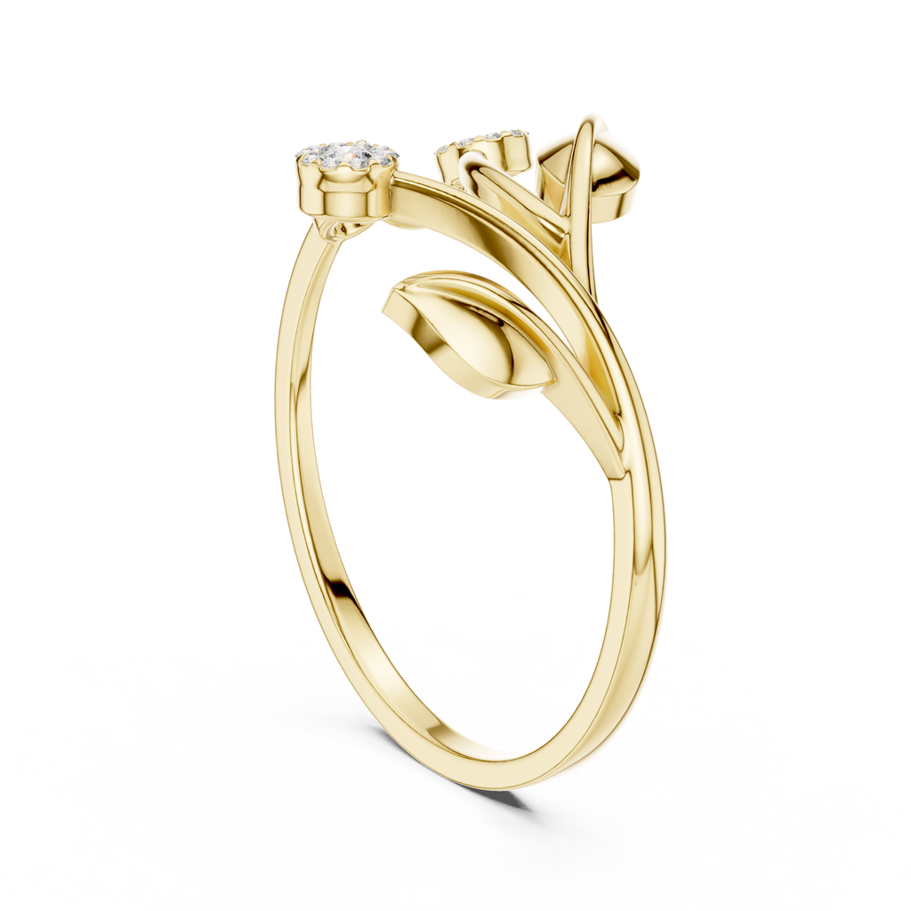The Essential Ring