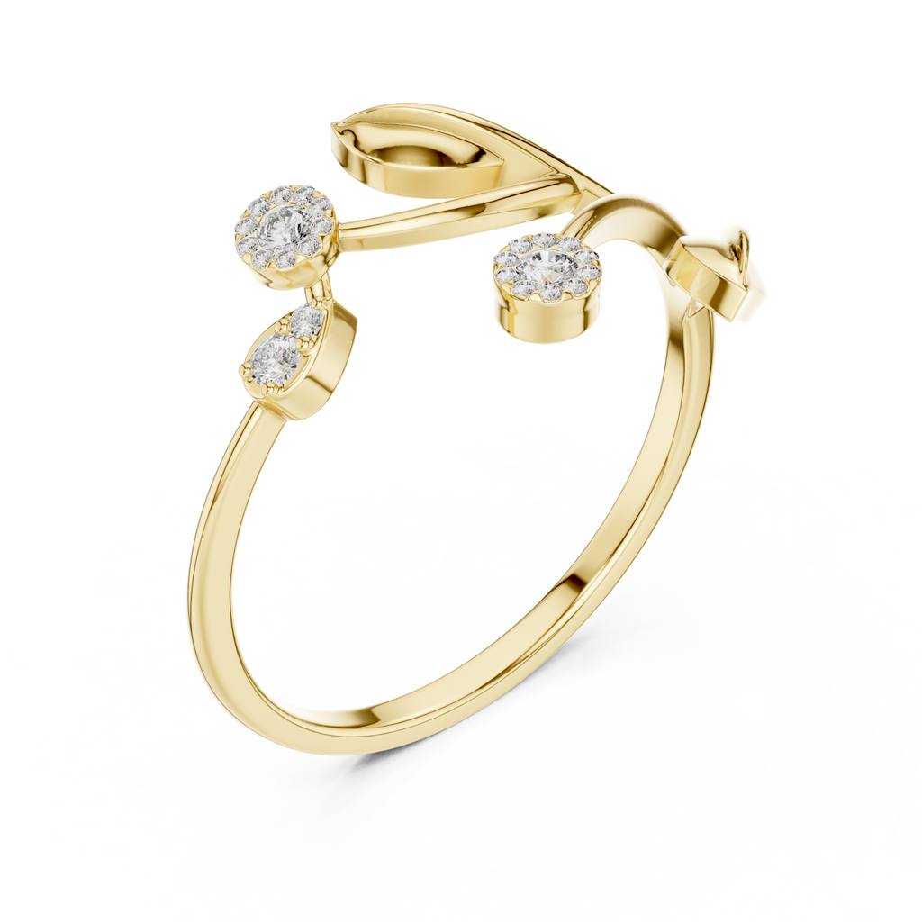 The Essential Ring