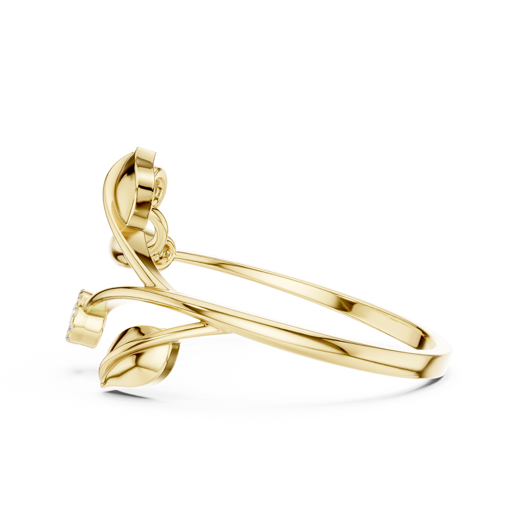 The Essential Ring