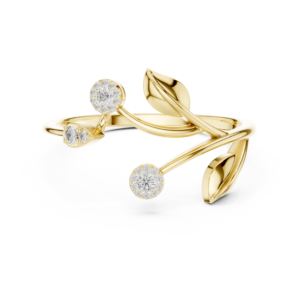 The Essential Ring