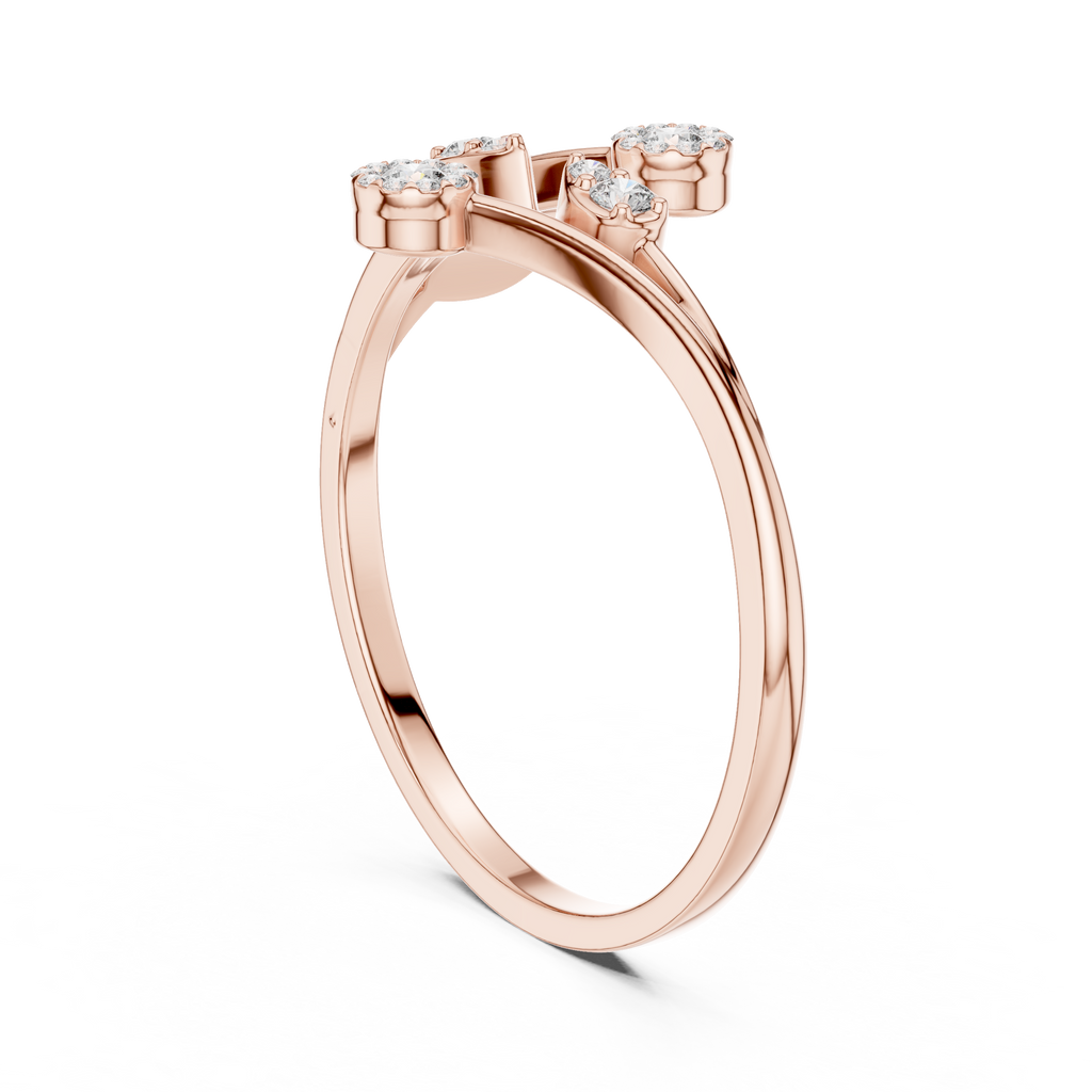 The Essential Ring