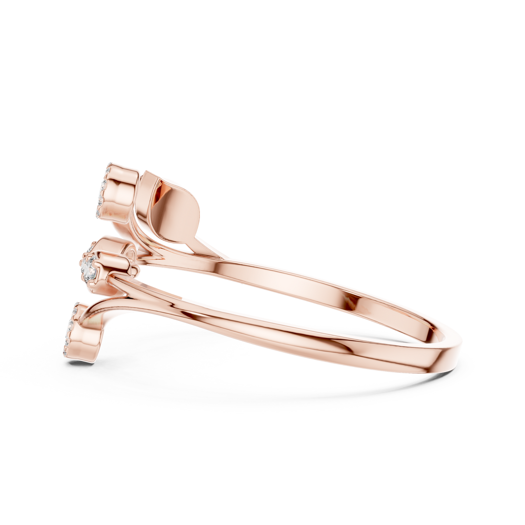 The Essential Ring