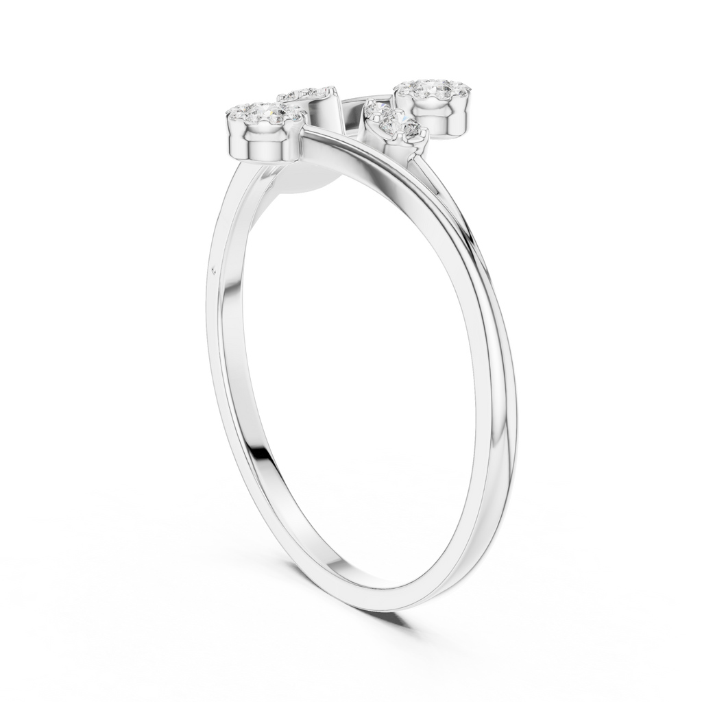 The Essential Ring