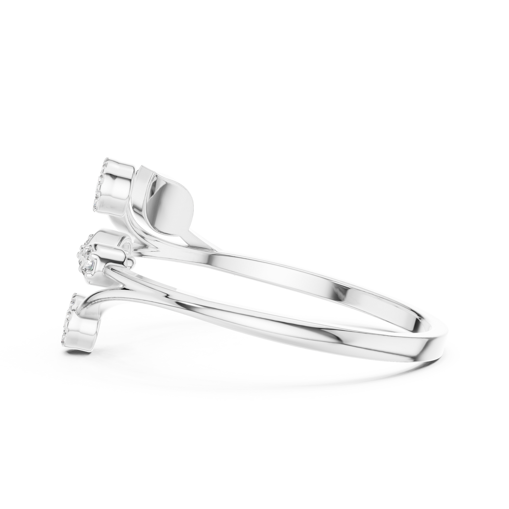 The Essential Ring