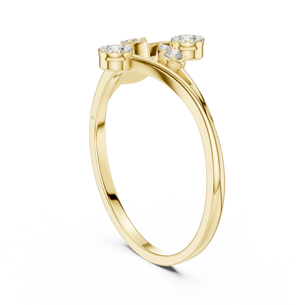 The Essential Ring