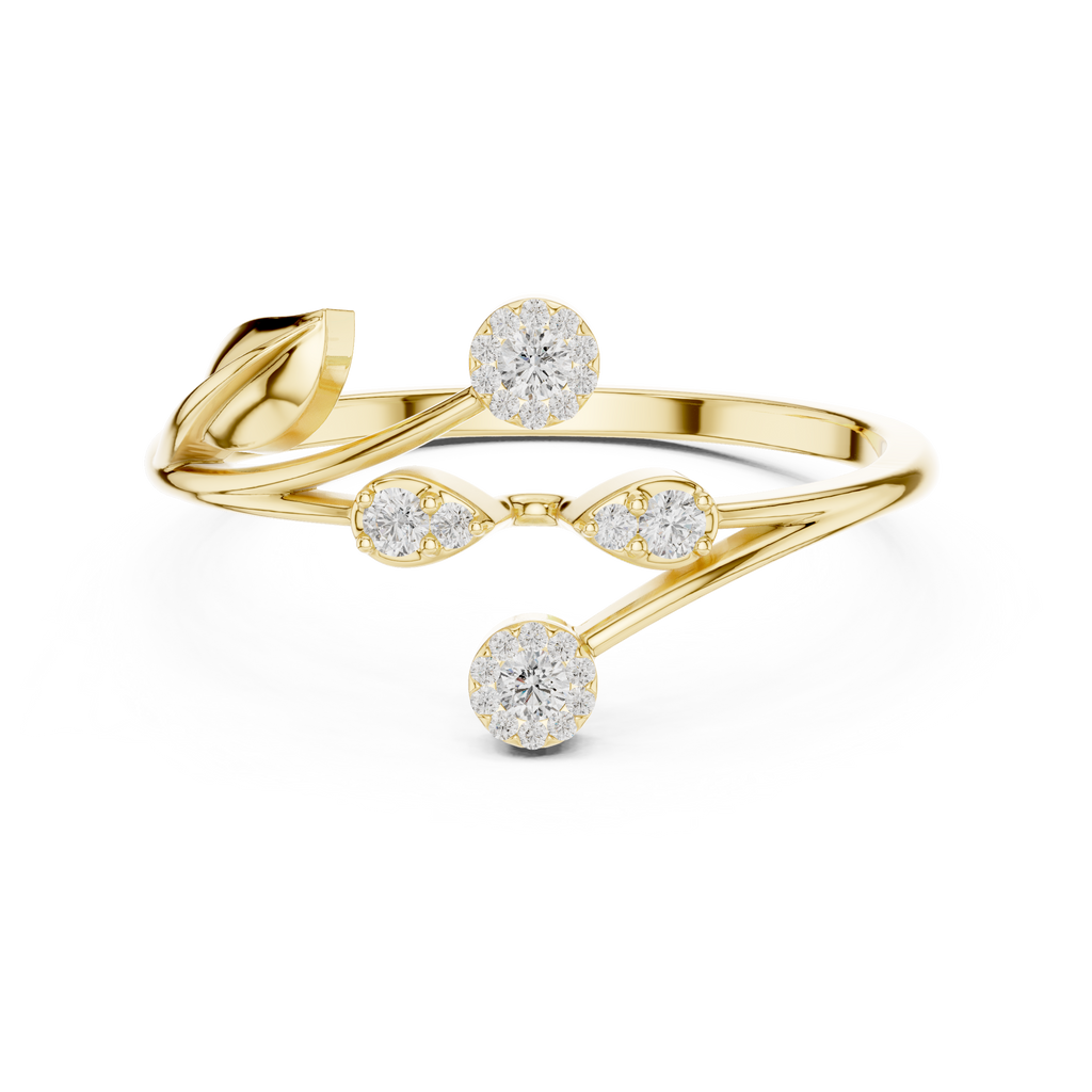 The Essential Ring