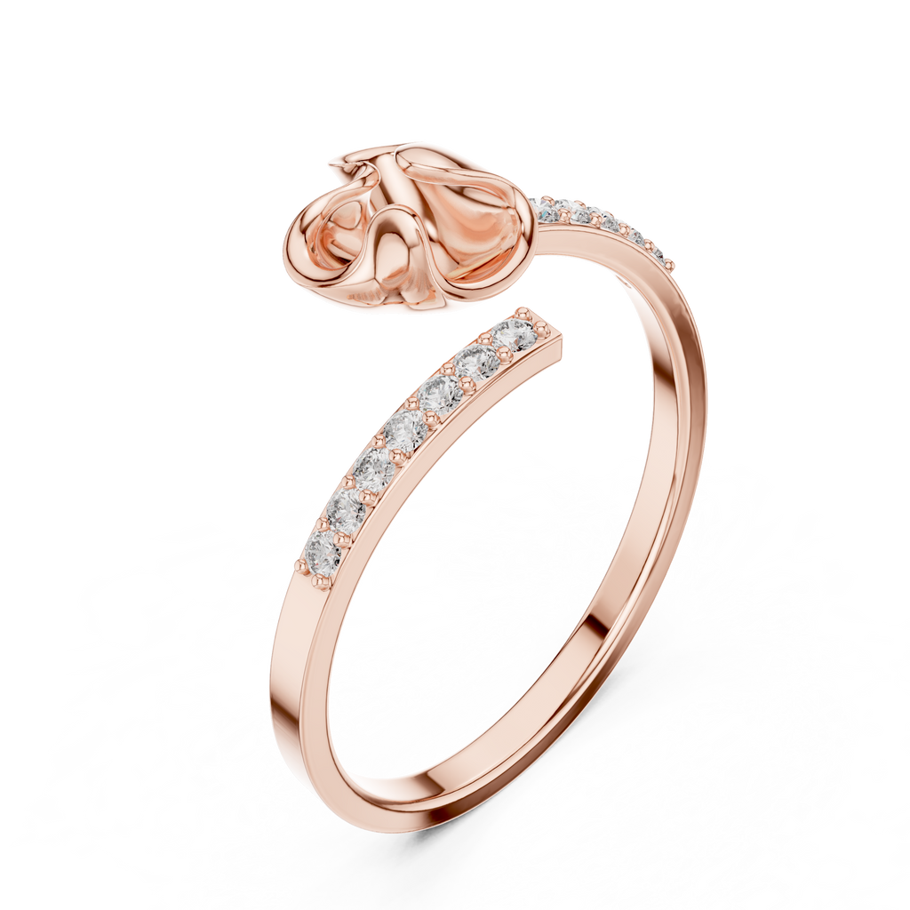 The Fancy Ring