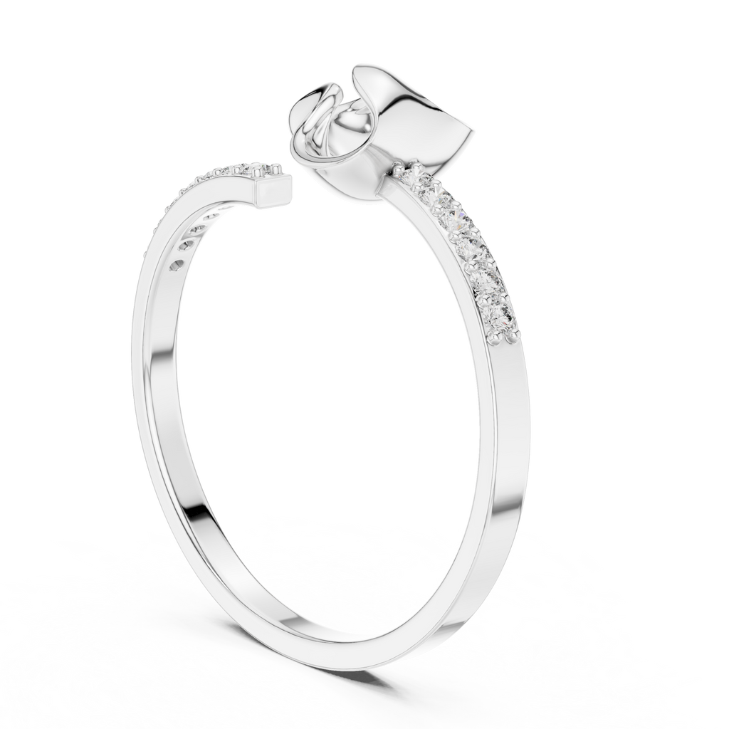 The Fancy Ring