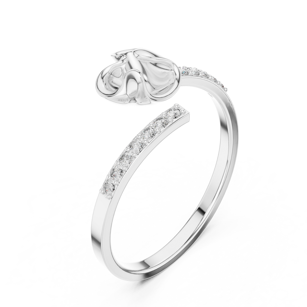 The Fancy Ring