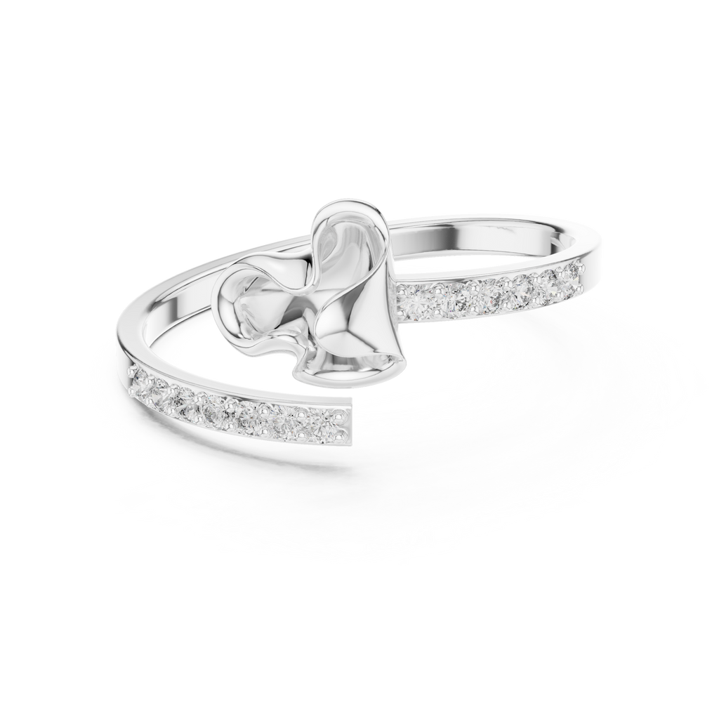 The Fancy Ring