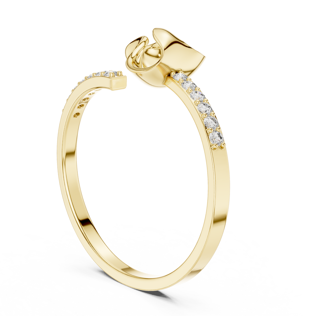 The Fancy Ring