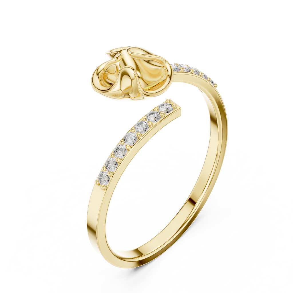 The Fancy Ring