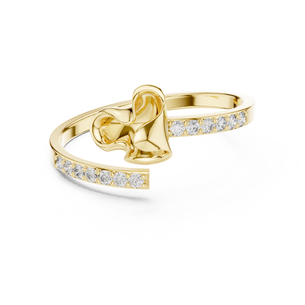 The Fancy Ring