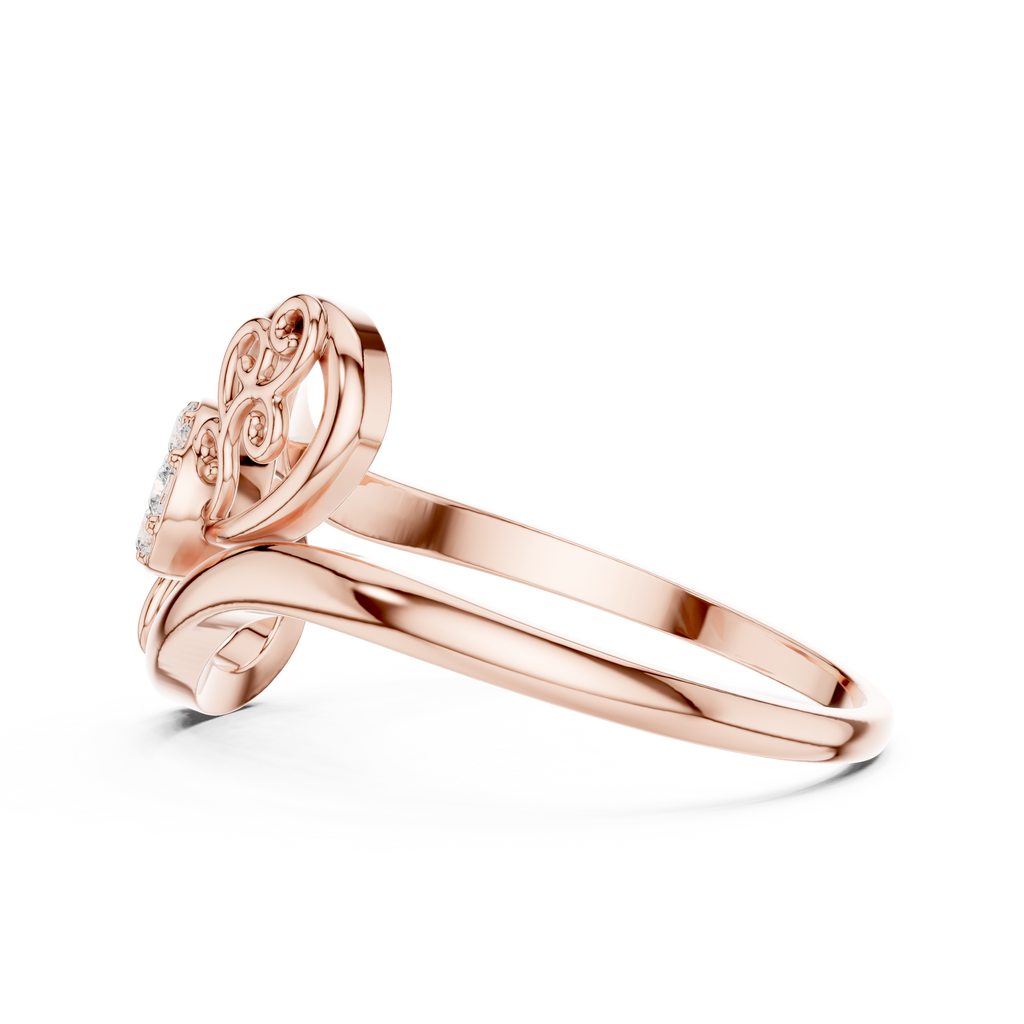 The Fancy Ring