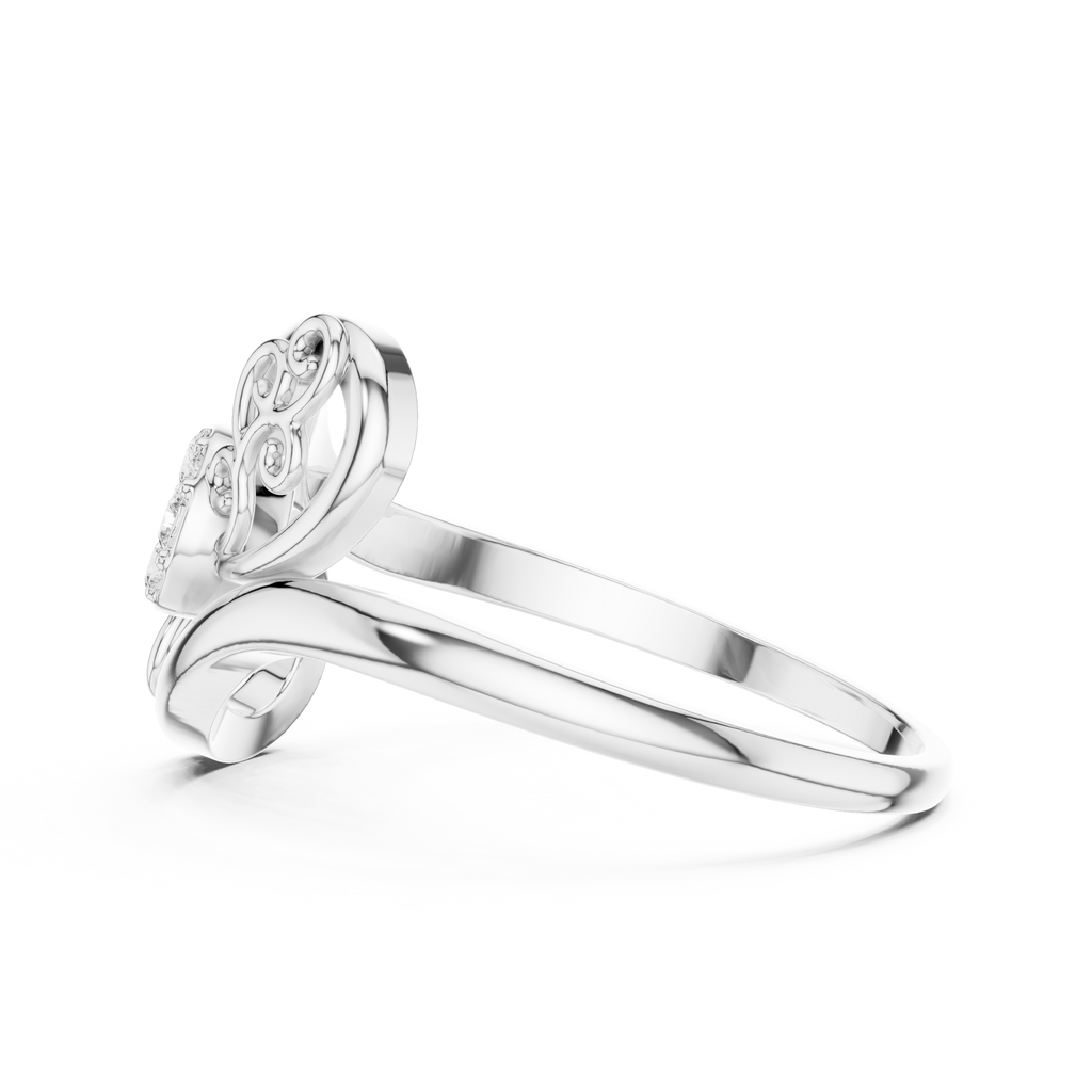 The Fancy Ring