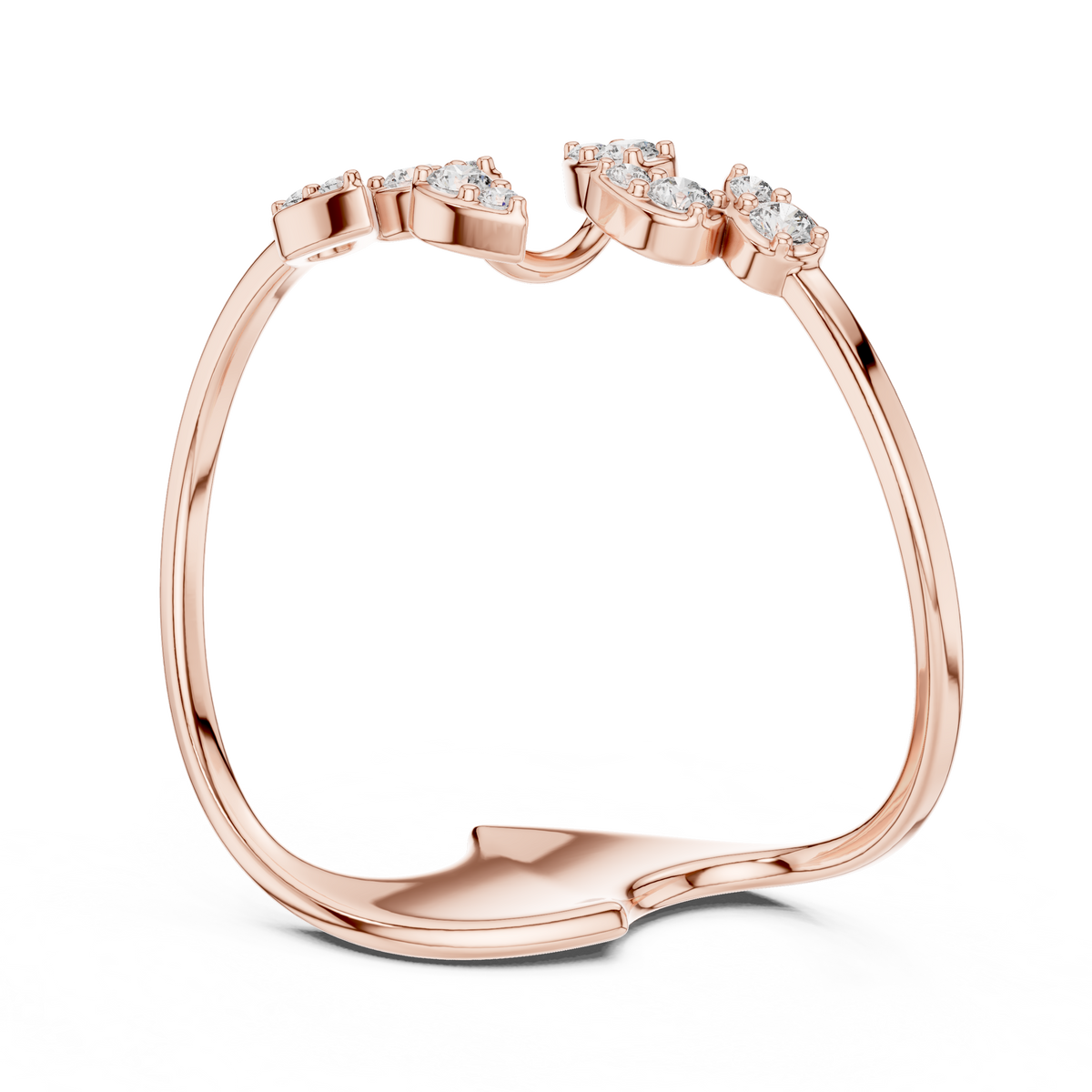 The Fancy Ring