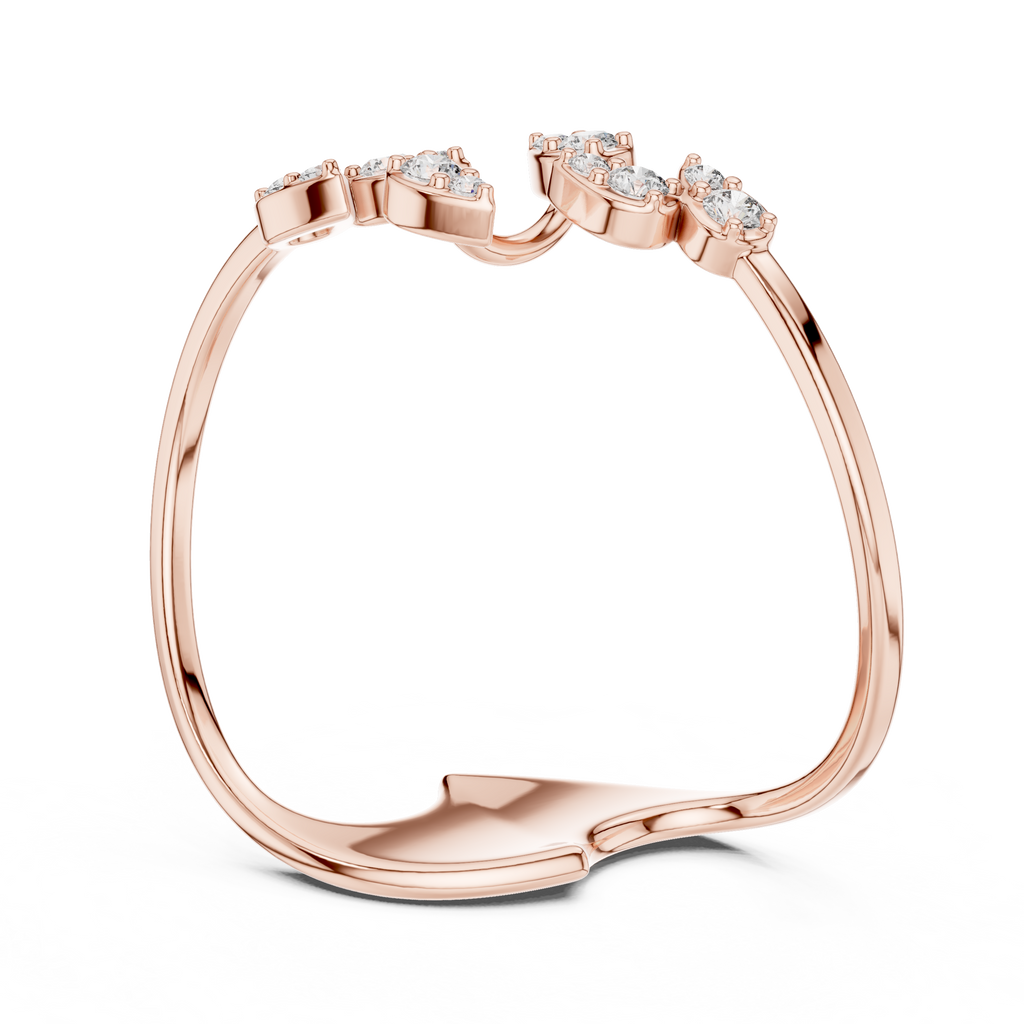 The Fancy Ring