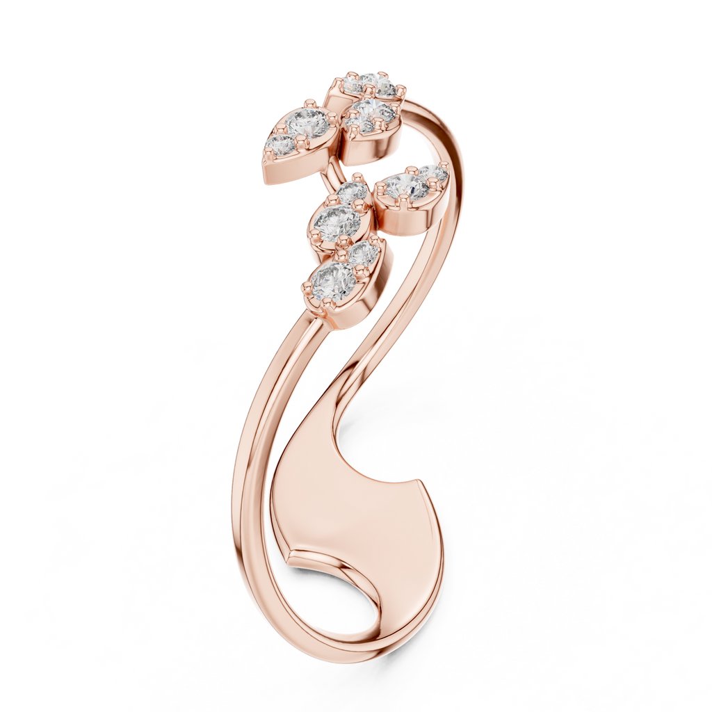The Fancy Ring