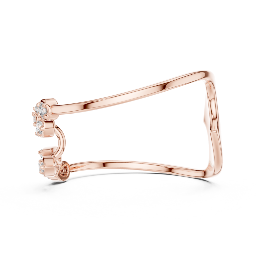 The Fancy Ring
