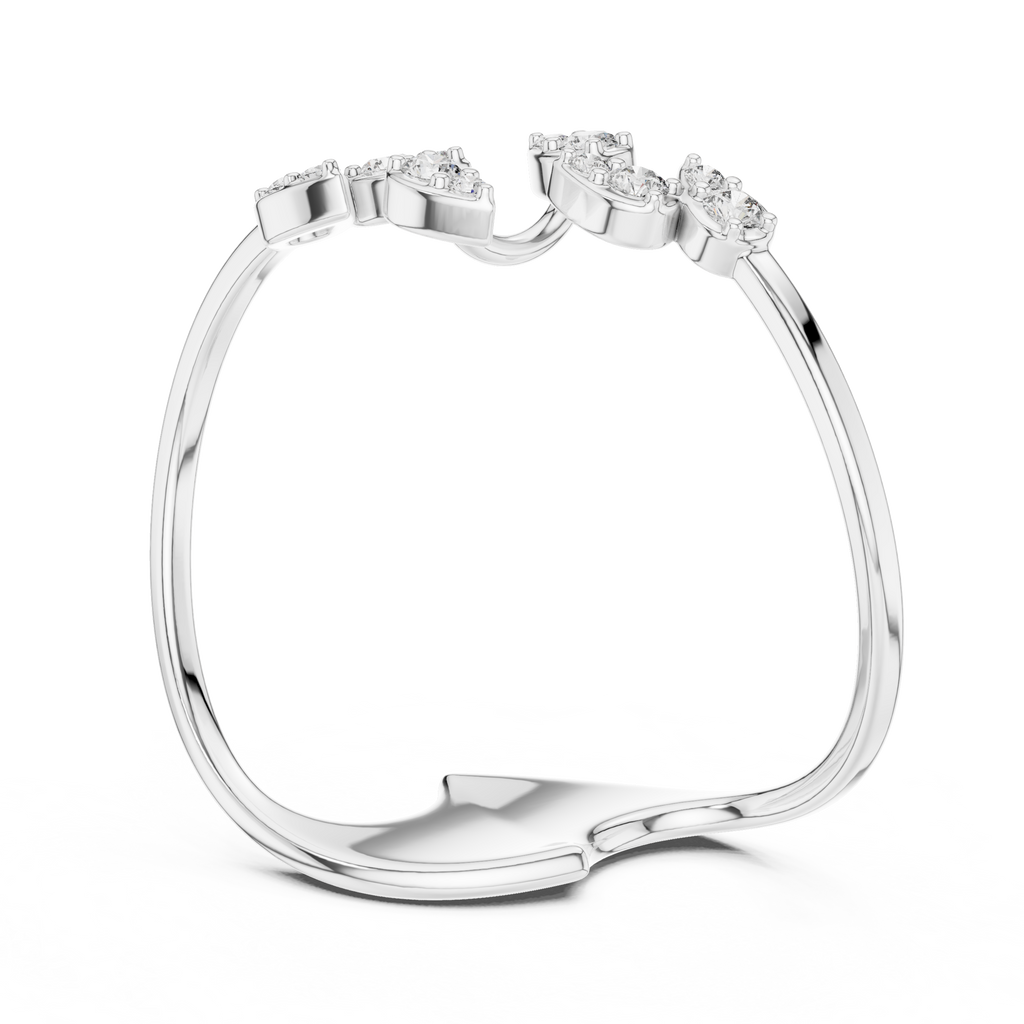 The Fancy Ring