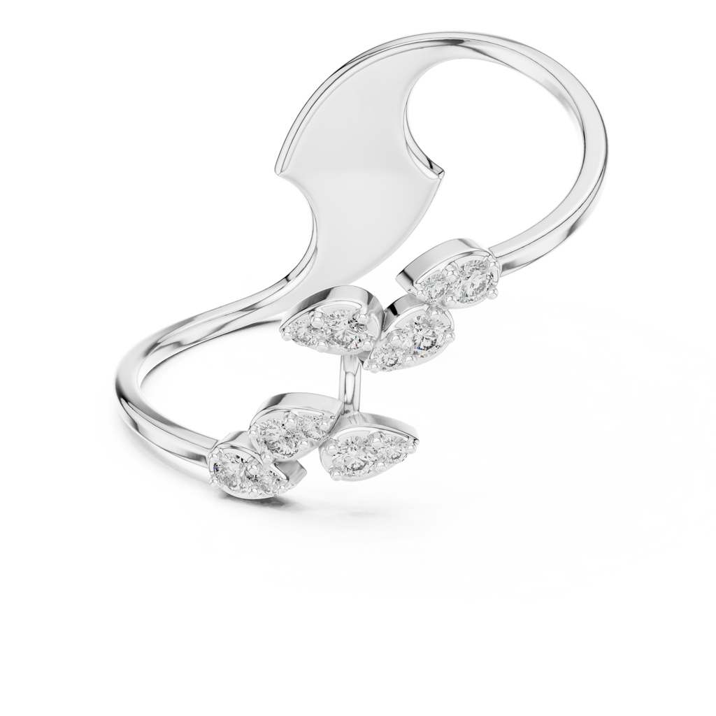 The Fancy Ring