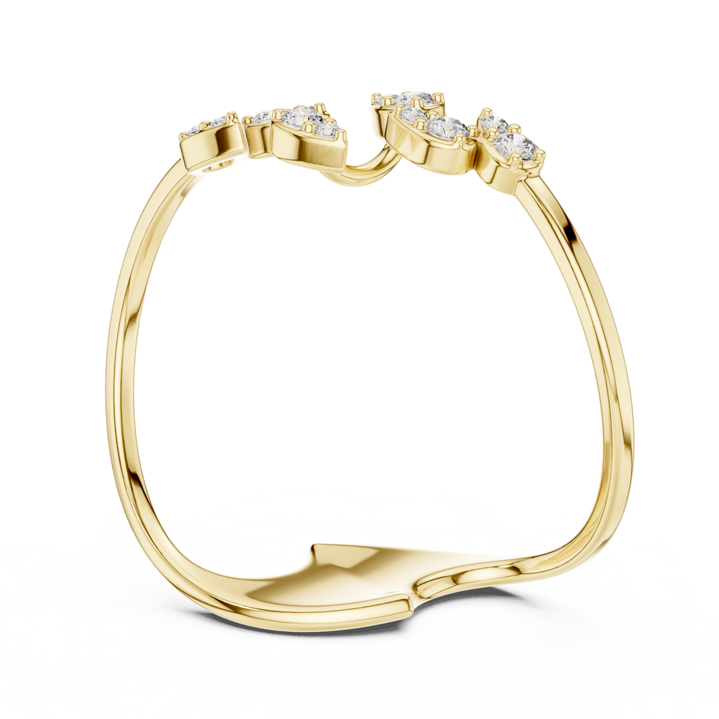 The Fancy Ring