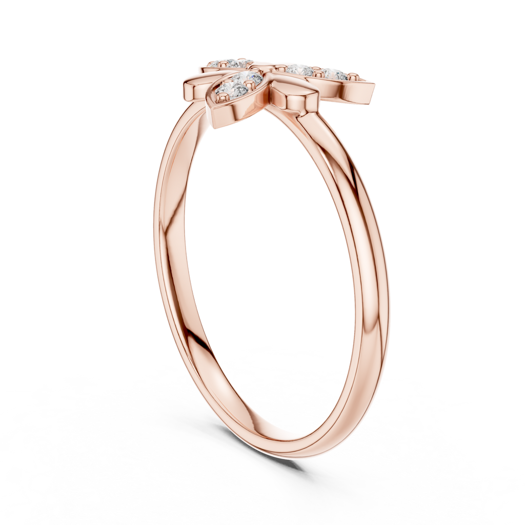 The Essential Ring